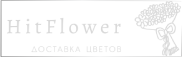 Доставка цветов Шенкурск